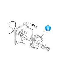 9686032 ricambio ingranaggio motore cancello beninca MS4 e BULL